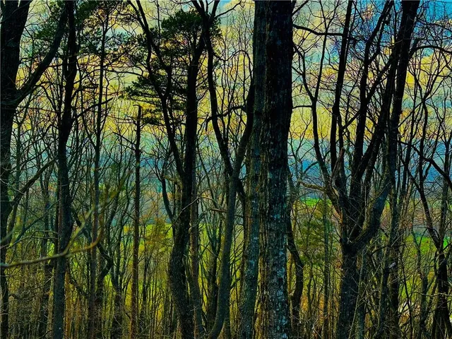 $1,304,850 | 86.99 Acres Mincie Mountain, Murrayville, GA 30564