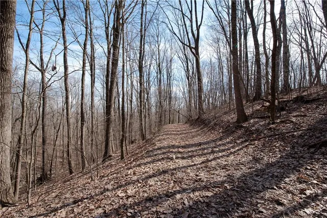 a view of a backyard of the house