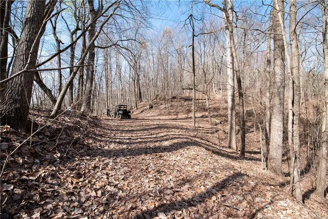 a view of a yard with wooden fence