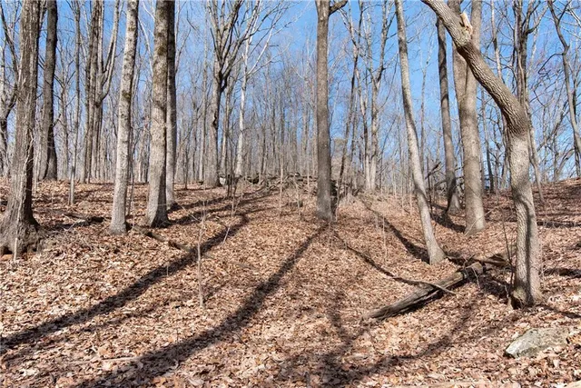 a view of a backyard of the house