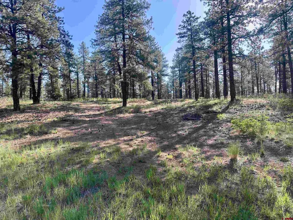 $439,000 | 782 Hawks Meadow Drive, Bayfield, CO 81122