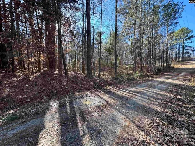 a view of a backyard with large trees