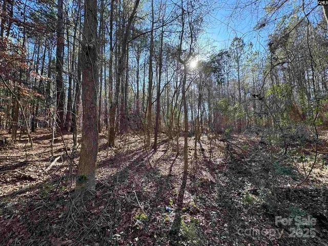 a view of backyard with tree