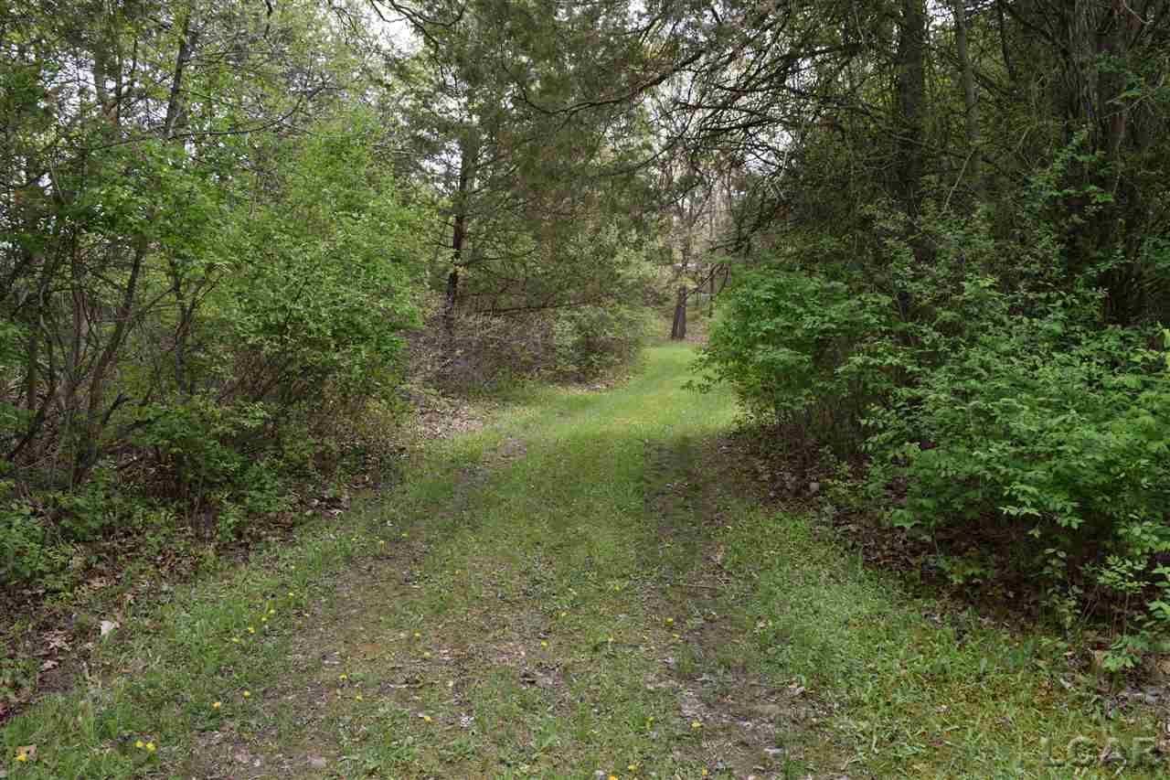 12145 Lawrence Road Brooklyn, MI 49230 - Photo 11 of 41
