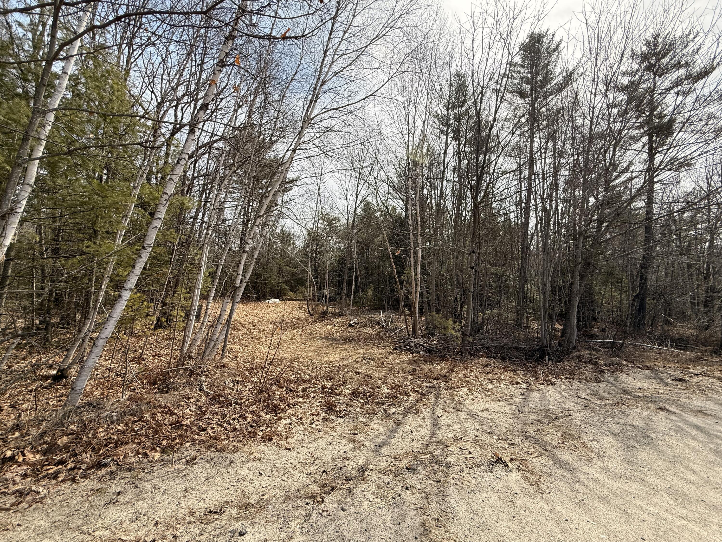 Lot #6 Mohawk Road Enfield, ME 04493 - Photo 2 of 7
