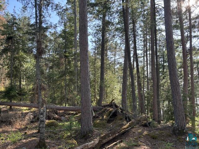 3506 Hanson Lk Road Ely, MN 55731 - Photo 17 of 26