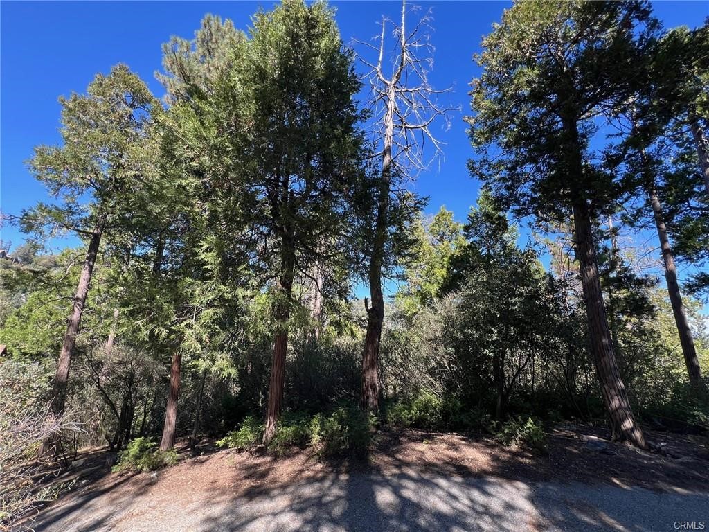 27530 North Bay Road Lake Arrowhead, CA 92352 - Photo 3 of 7