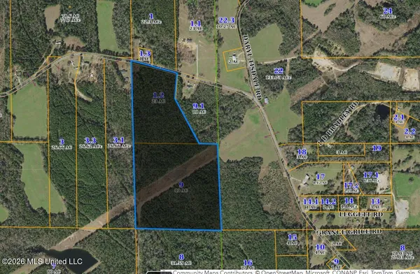 $315,000 | 0 Rainey Road, Moselle, MS 39459