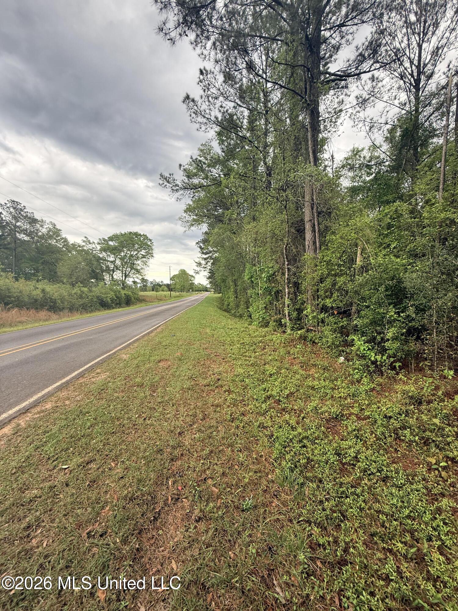 0 Rainey Road Moselle, MS 39459 - Photo 2 of 5 Rainey4