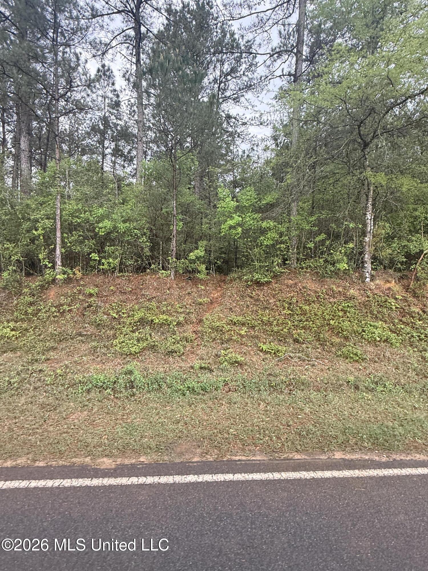 0 Rainey Road Moselle, MS 39459 - Photo 4 of 5 Rainey2