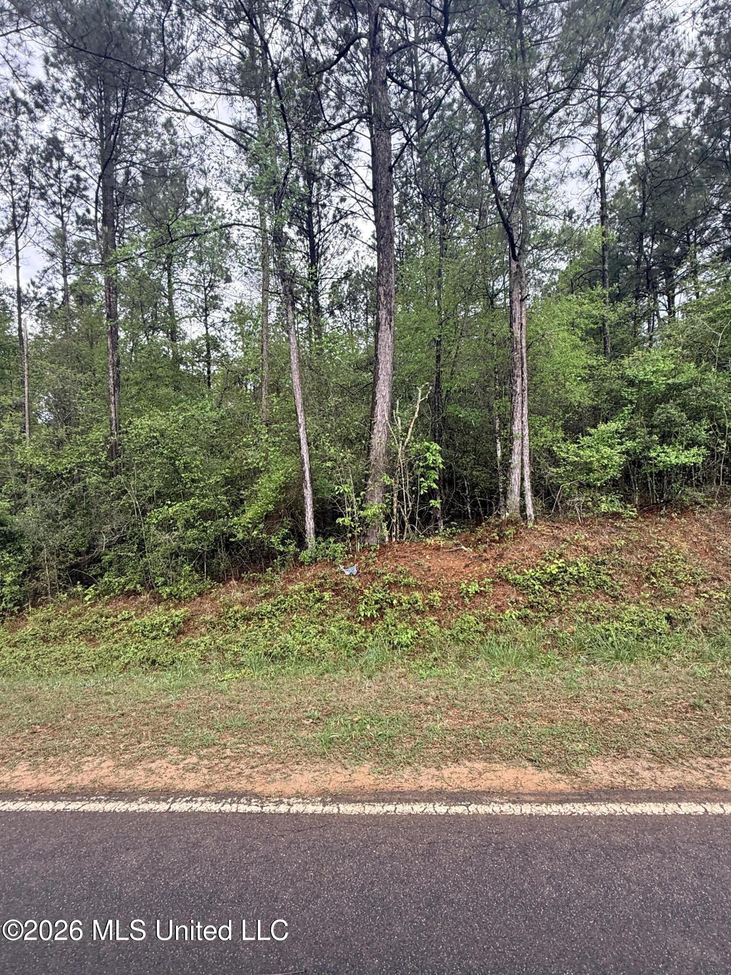 0 Rainey Road Moselle, MS 39459 - Photo 5 of 5 Rainey1