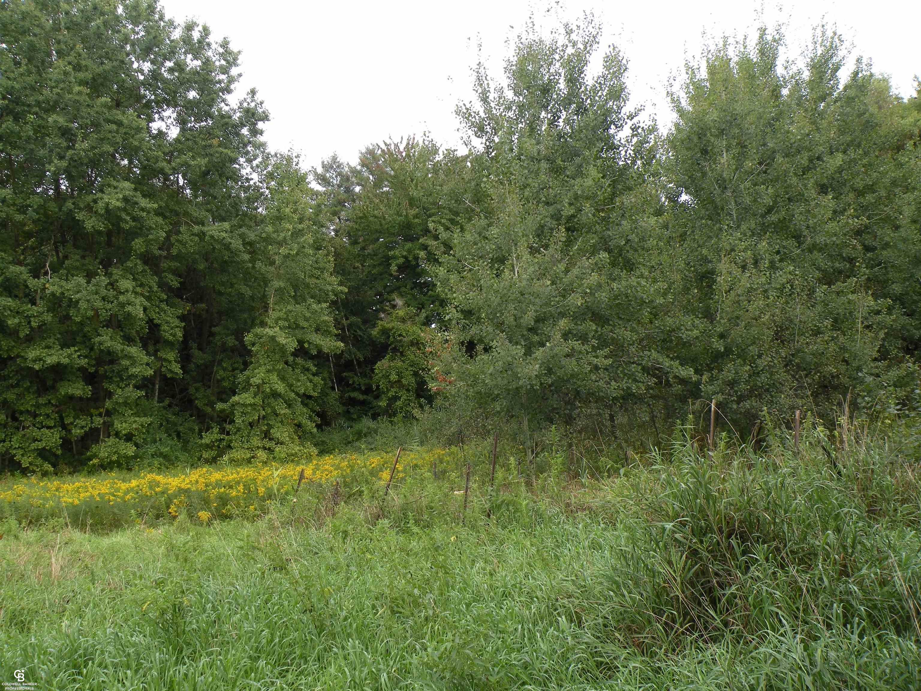 0 Parks Road Yale, MI 48097 - Photo 4 of 12