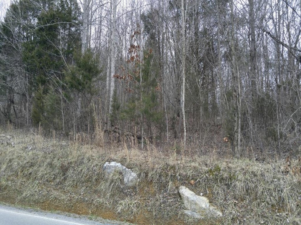 122 Harmony Road, Unit 7 Jonesborough, TN 37659 - Photo 1 of 3 Rd View Slope