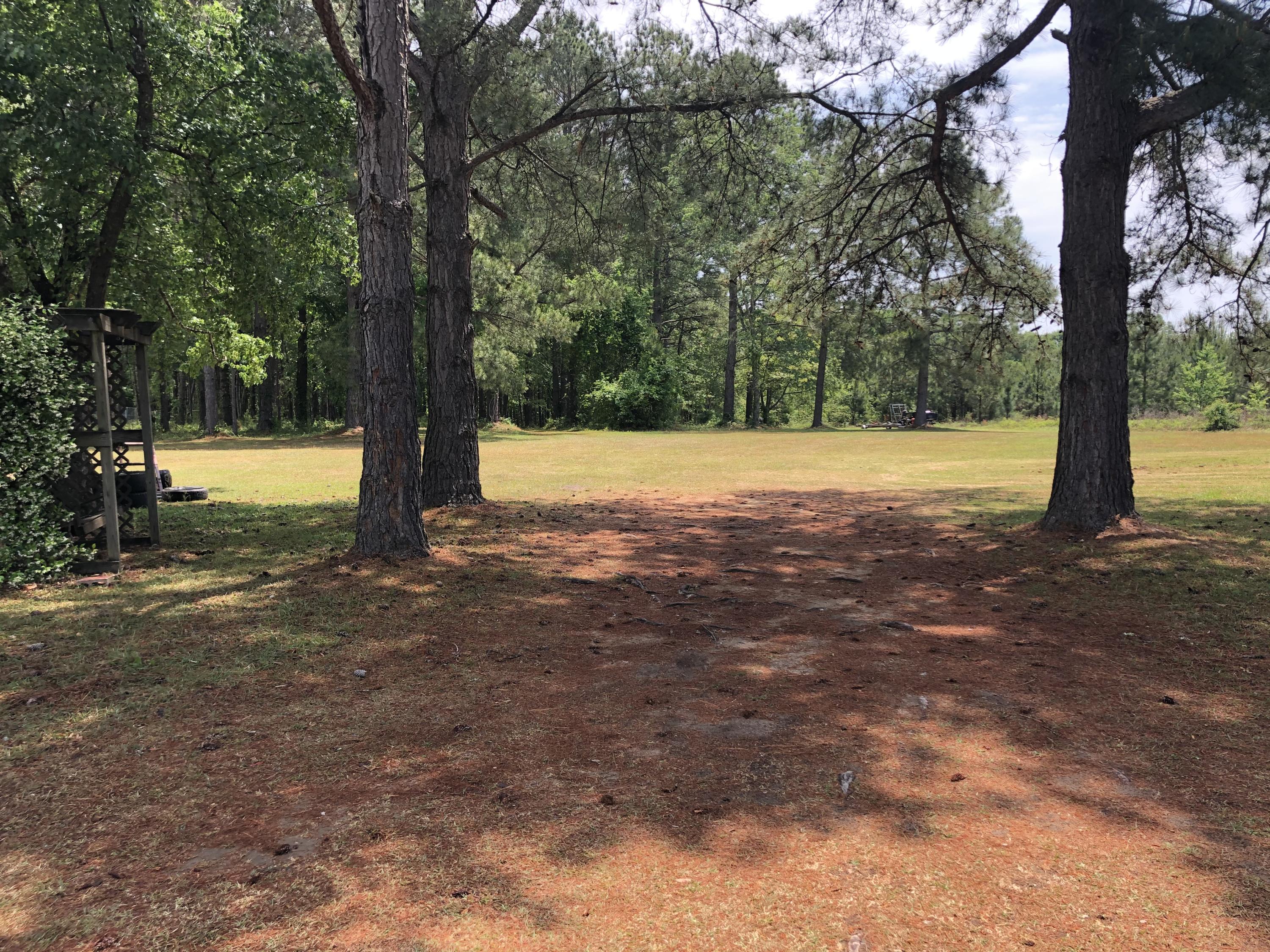 4603 Nelson's Ferry Road Summerton, SC 29148 - Photo 3 of 8 IMG-2351