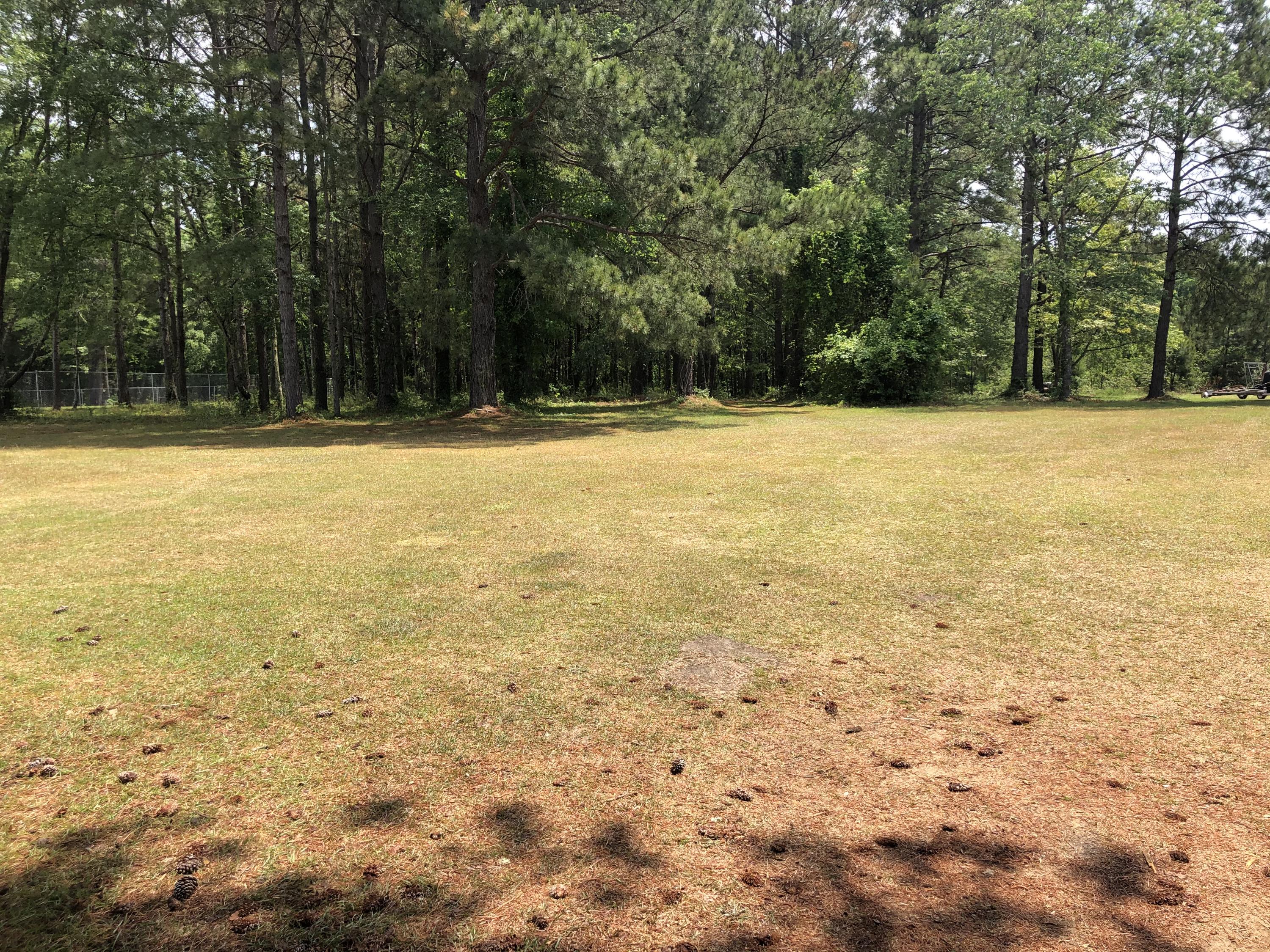 4603 Nelson's Ferry Road Summerton, SC 29148 - Photo 6 of 8 IMG-2354