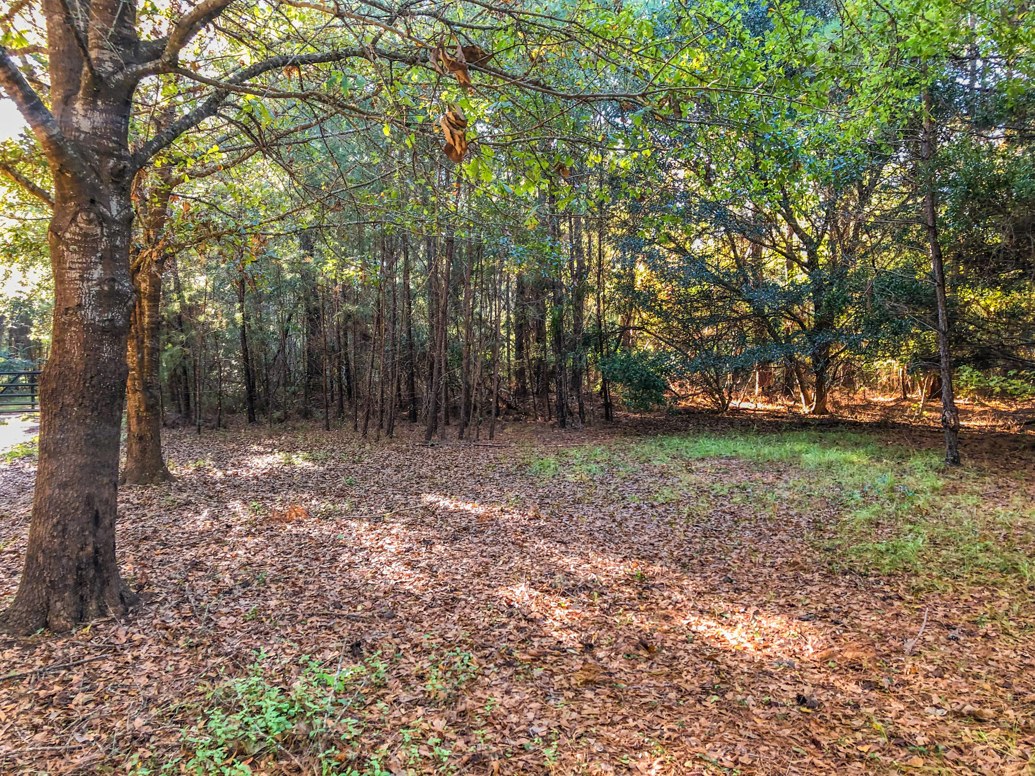 0 Brownhill Road McClellanville, SC 29458 - Photo 1 of 13 IMG_3103