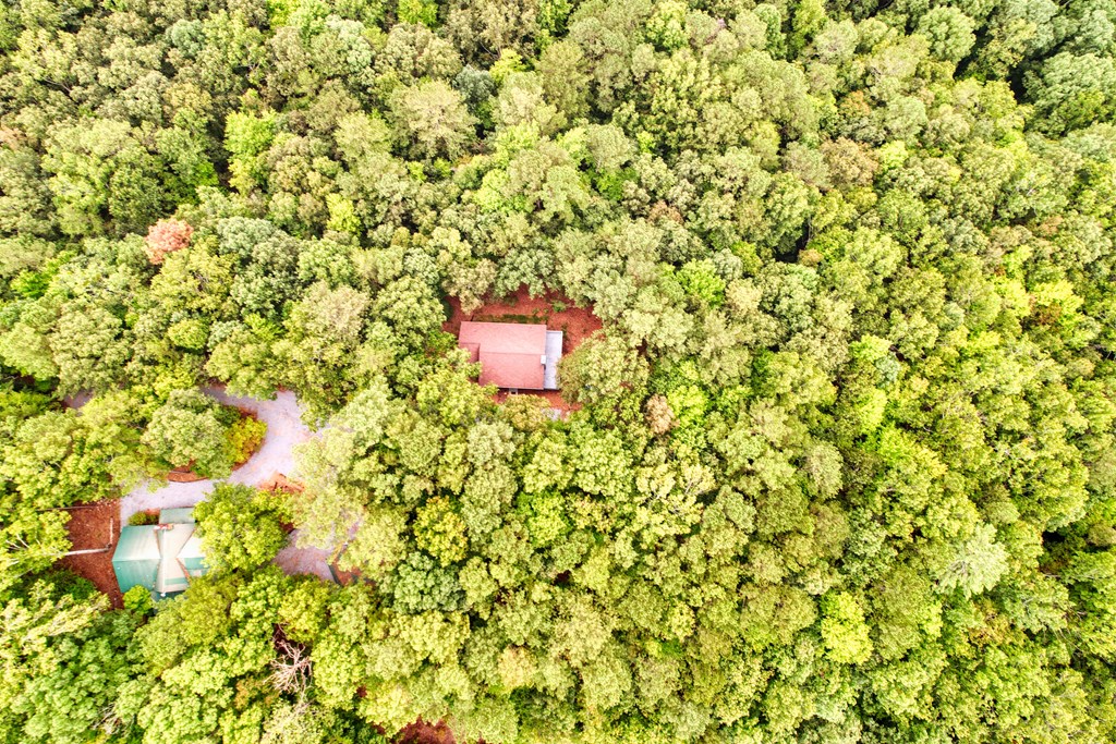 1179 Harris Branch Road Ellijay, GA 30540 - Photo 8 of 42 Gallery Image 8