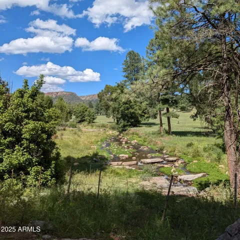 a view of an outdoor space with yard