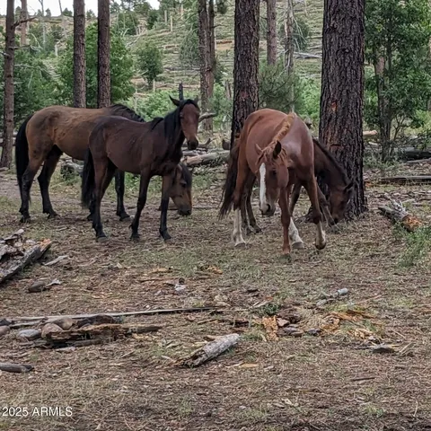 a view of ocean view with beach