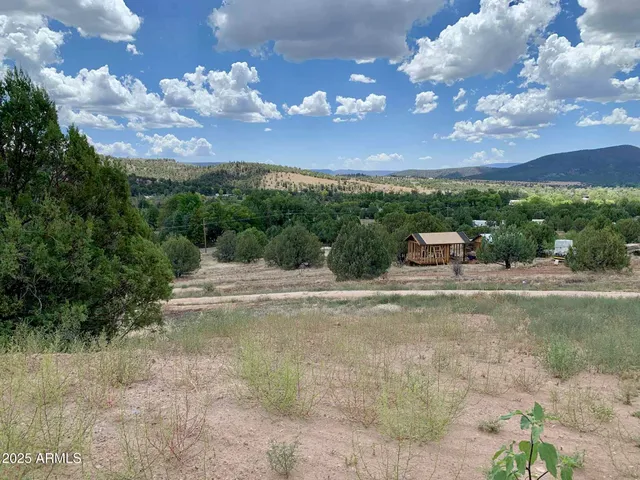 a view of a yard with a tree