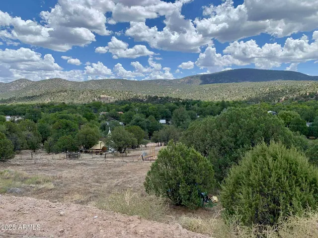 a view of a garden with a tree