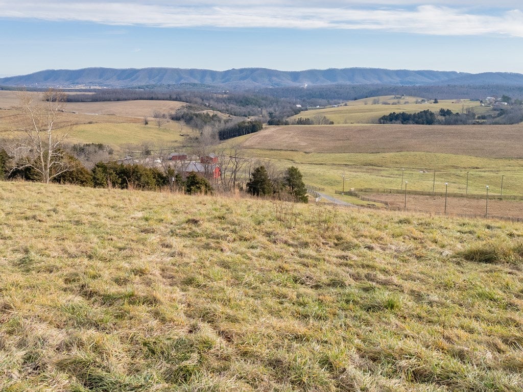 1914 Rickey Road Max Meadows, VA 24360 - Photo 6 of 100 Gallery Image 6