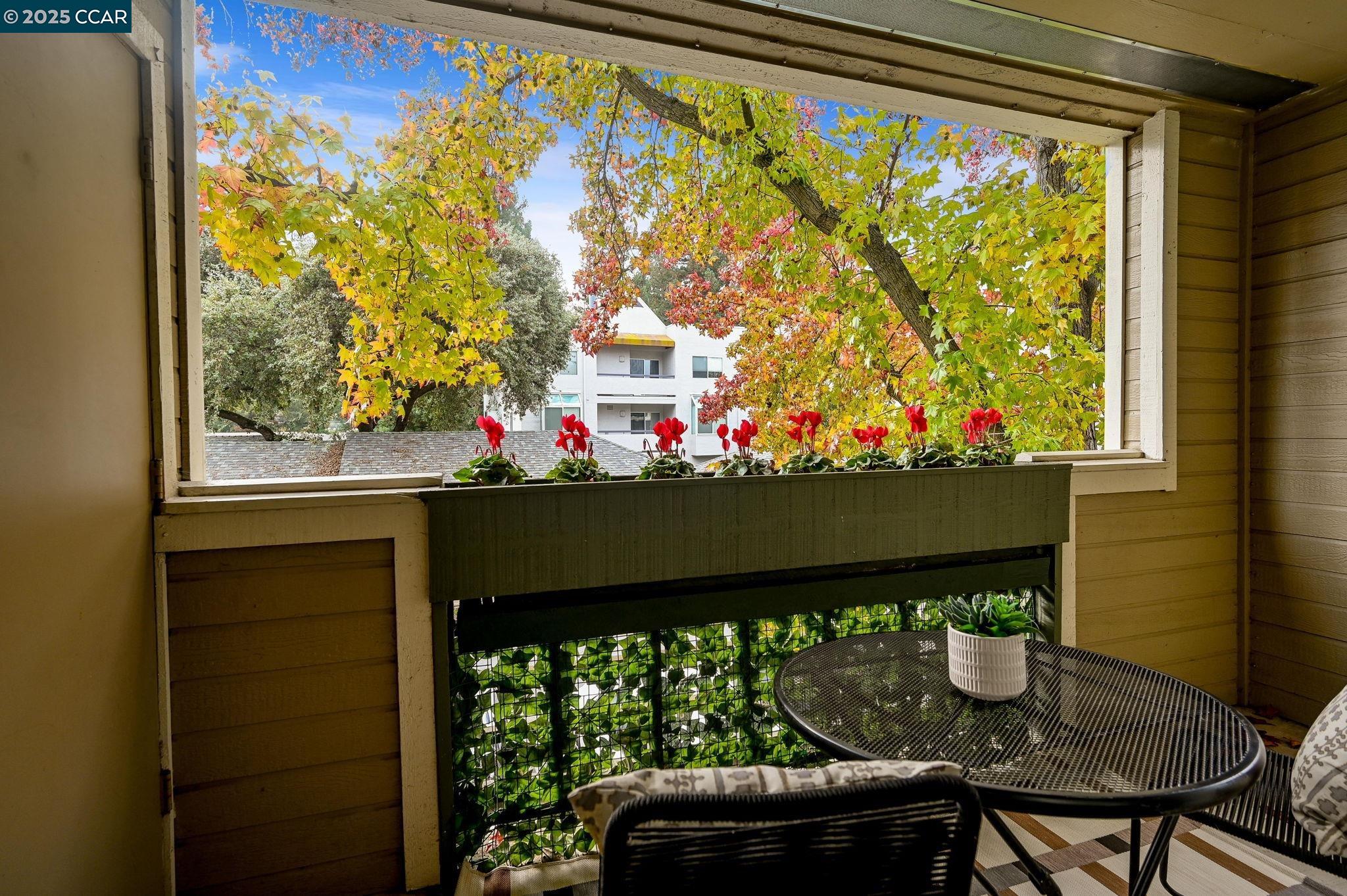 2550 Oak Road, Unit 209 Walnut Creek, CA 94597 - Photo 11 of 34 a window