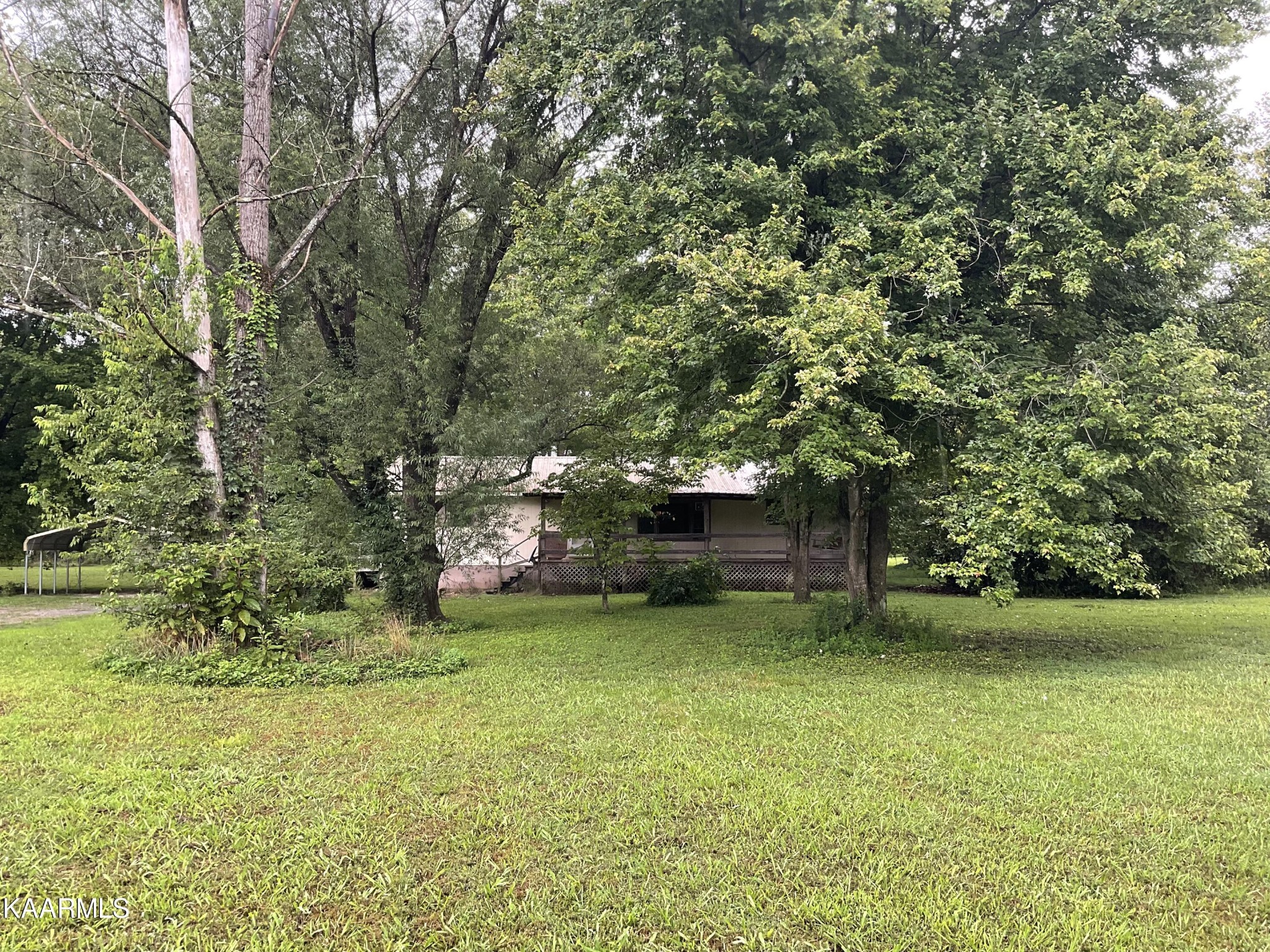 1901 Muddy Creek Road Spring City, TN 37381 - Photo 1 of 11 a view of a green field with trees in the background