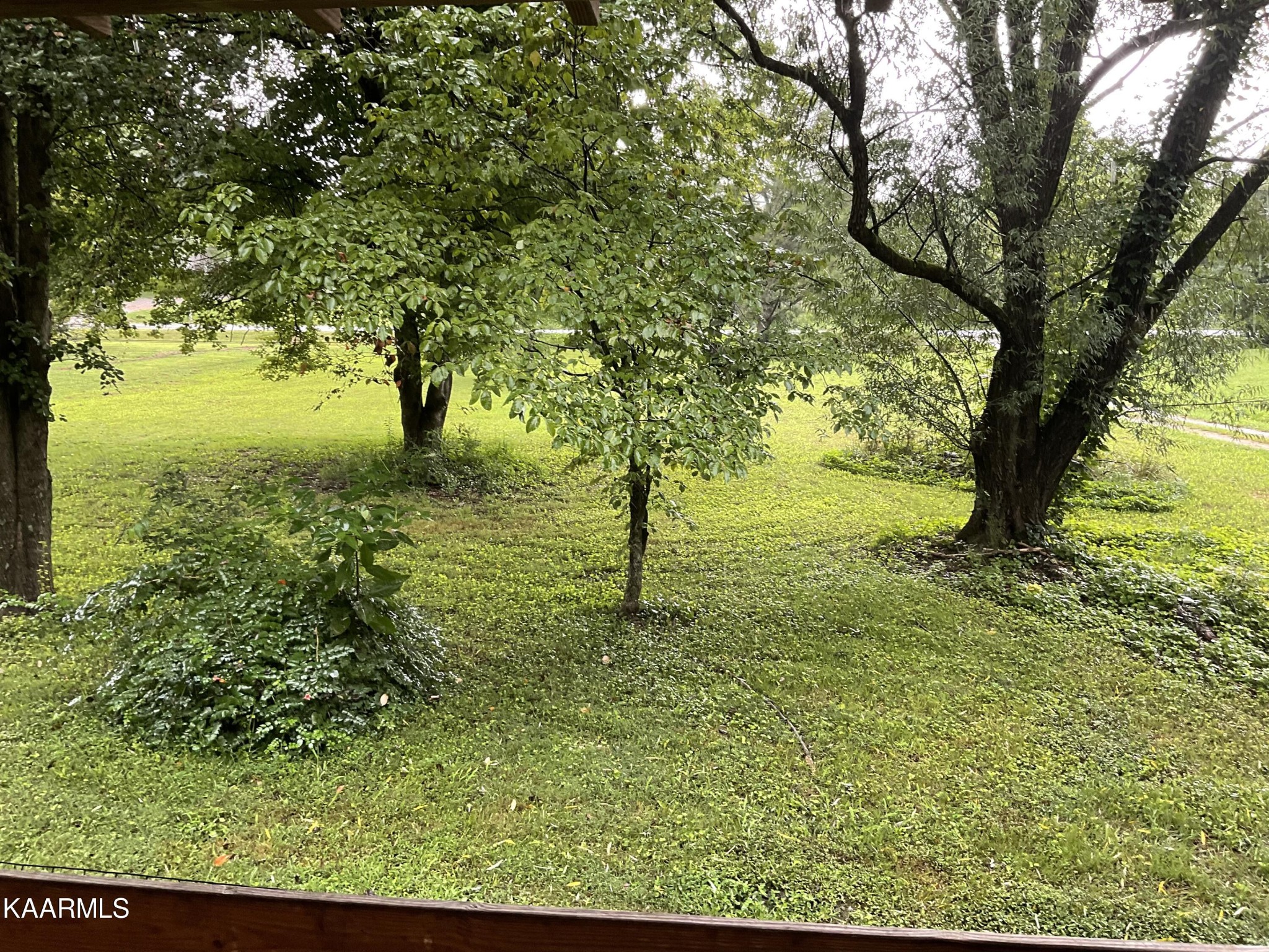 1901 Muddy Creek Road Spring City, TN 37381 - Photo 11 of 11 a view of a yard with a tree