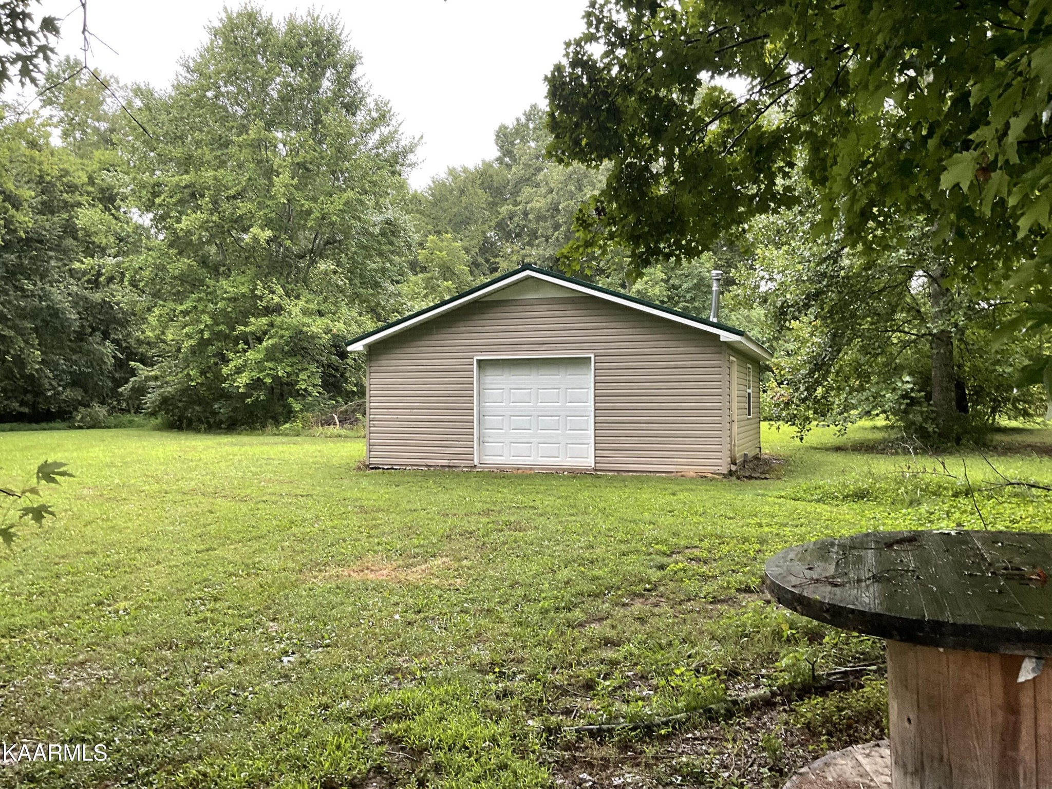 1901 Muddy Creek Road Spring City, TN 37381 - Photo 3 of 11 a view of a backyard with large trees