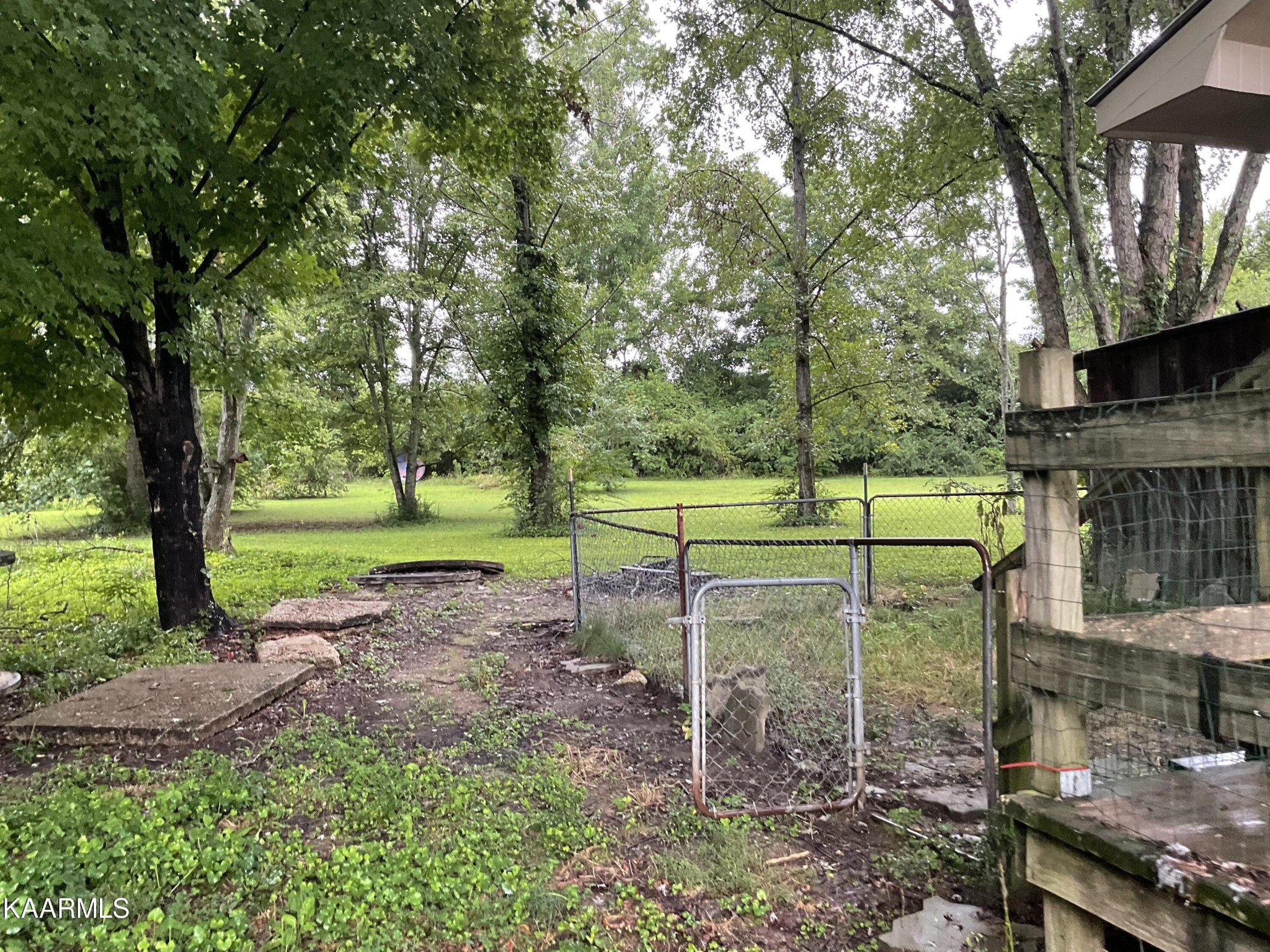 1901 Muddy Creek Road Spring City, TN 37381 - Photo 7 of 11 a view of a park