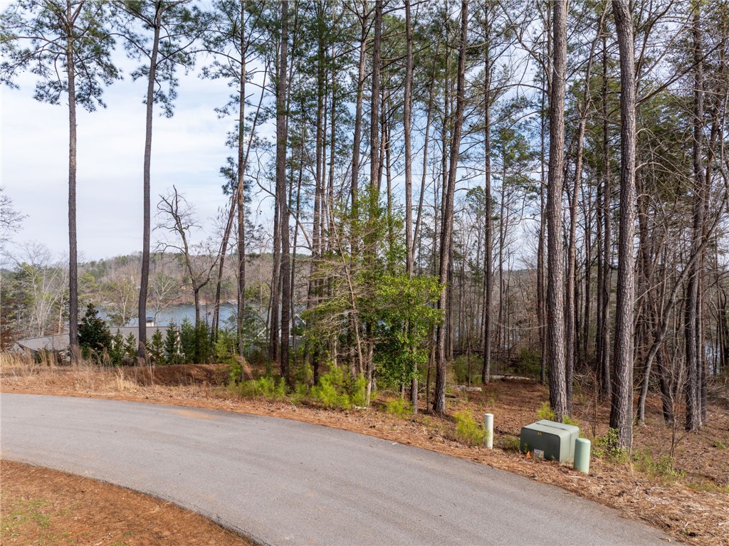 537 Peninsula Road West Union, SC 29696 - Photo 14 of 15 This serene wooded lot offers direct lake access, perfect for building your dream home.