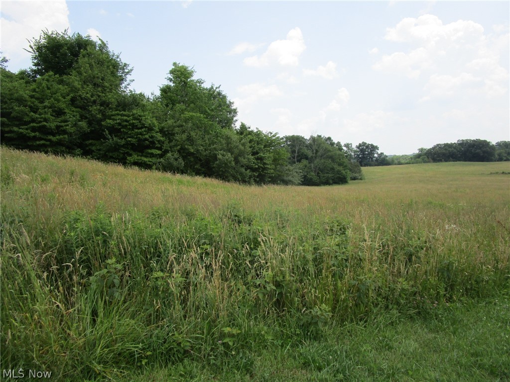10075 Edwards Ridge Road Southeast Uhrichsville, OH 44683 - Photo 9 of 9 Gallery Image 9