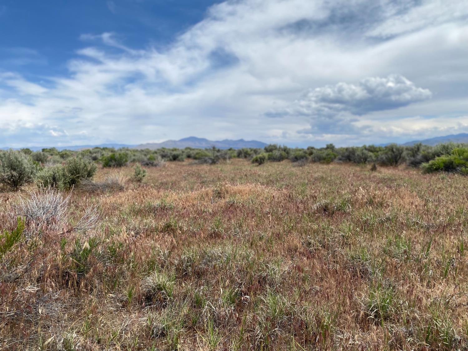 446-880 Honey Lake Road Herlong, CA 96113 - Photo 5 of 18 a view of a lake from a yard