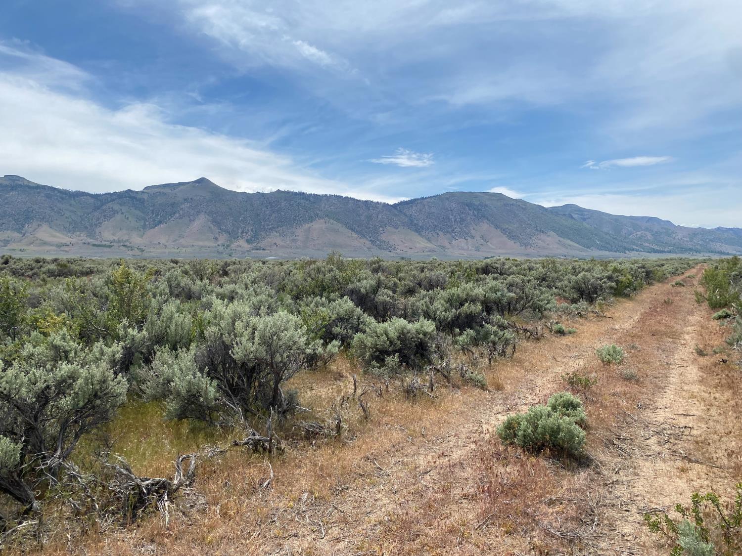446-880 Honey Lake Road Herlong, CA 96113 - Photo 7 of 18 a view of a lake with mountains in the background