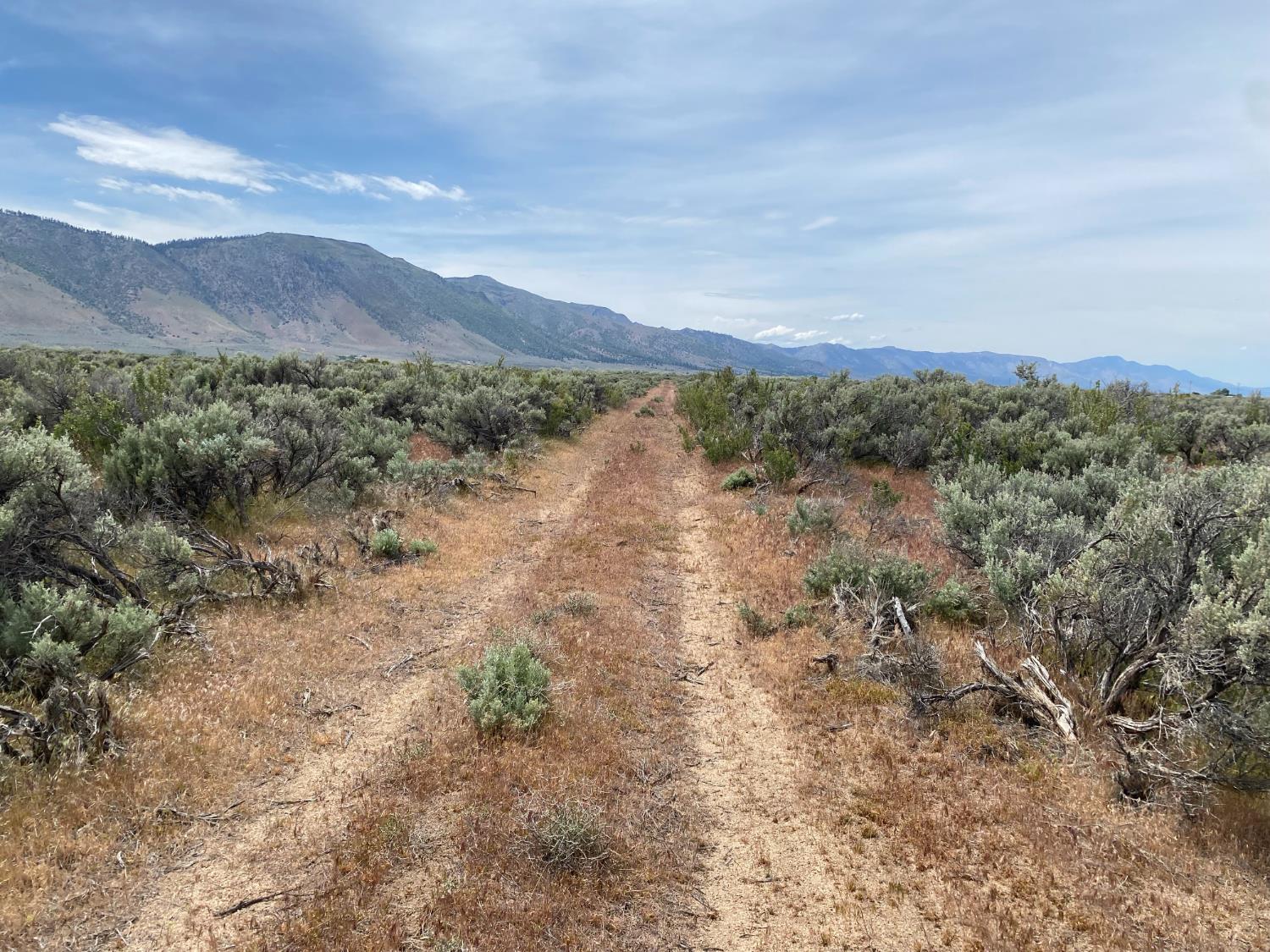 446-880 Honey Lake Road Herlong, CA 96113 - Photo 10 of 18 a view of a lake with mountains in the background