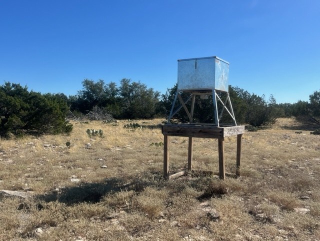 0 SD 73510 Rocksprings, TX 78880 - Photo 13 of 32 a view of a yard with a bench