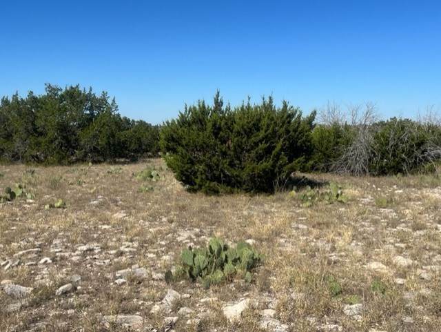 0 SD 73510 Rocksprings, TX 78880 - Photo 16 of 32 a view of a yard with a tree