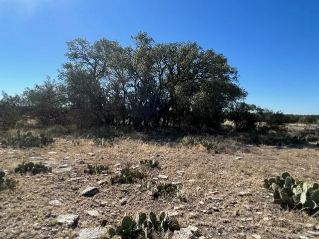 $297,500 | 0 SD 73510, Rocksprings, TX 78880