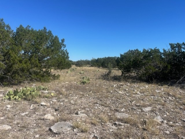 0 SD 73510 Rocksprings, TX 78880 - Photo 20 of 32 a view of a field with trees in the background