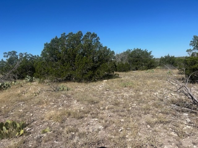 0 SD 73510 Rocksprings, TX 78880 - Photo 21 of 32 a view of a dry yard with trees in the background