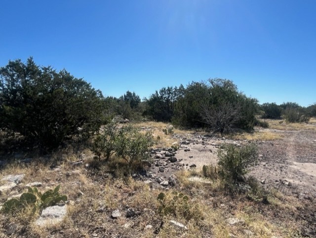 0 SD 73510 Rocksprings, TX 78880 - Photo 25 of 32 a view of a forest with a tree in the background