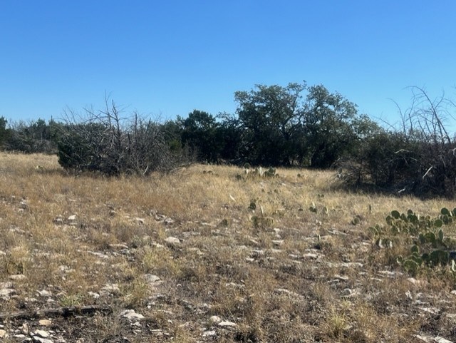 0 SD 73510 Rocksprings, TX 78880 - Photo 7 of 32 a view of a yard