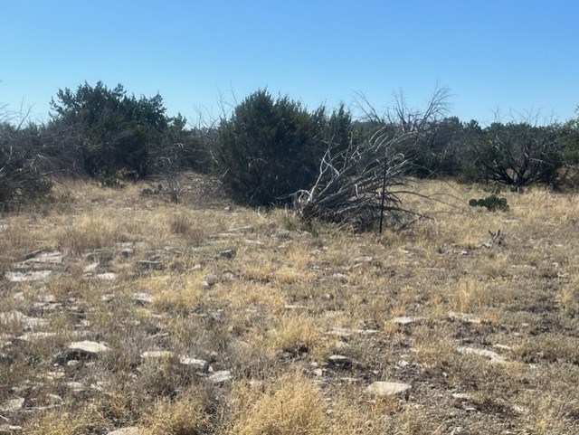 0 SD 73510 Rocksprings, TX 78880 - Photo 8 of 32 a view of a dry field