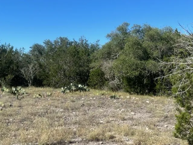 $297,500 | 0 SD 73510, Rocksprings, TX 78880