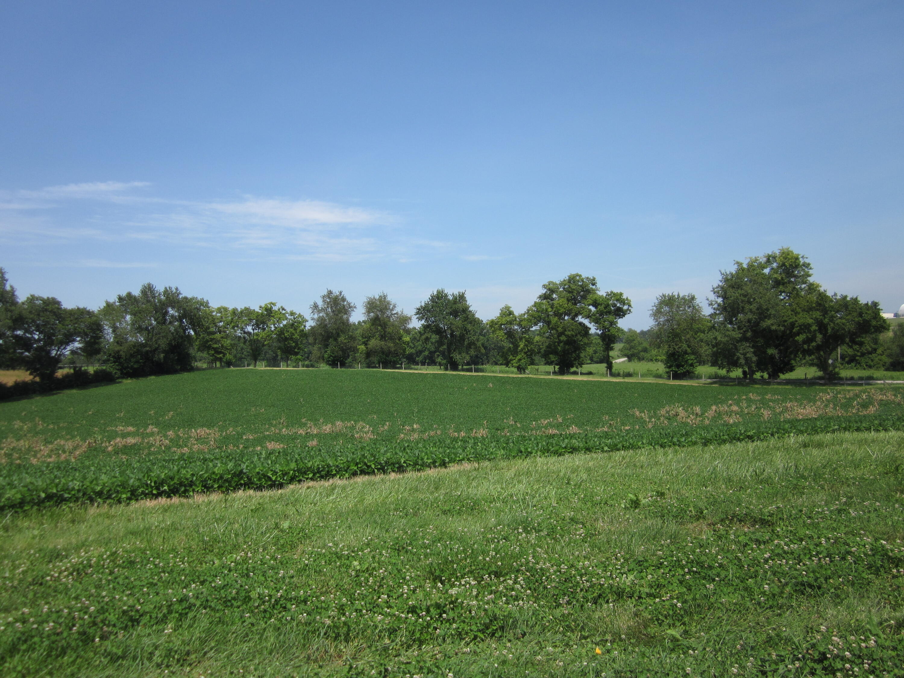 3115 Houston Antioch Road Lexington, KY 40516 - Photo 52 of 62 IMG_7832