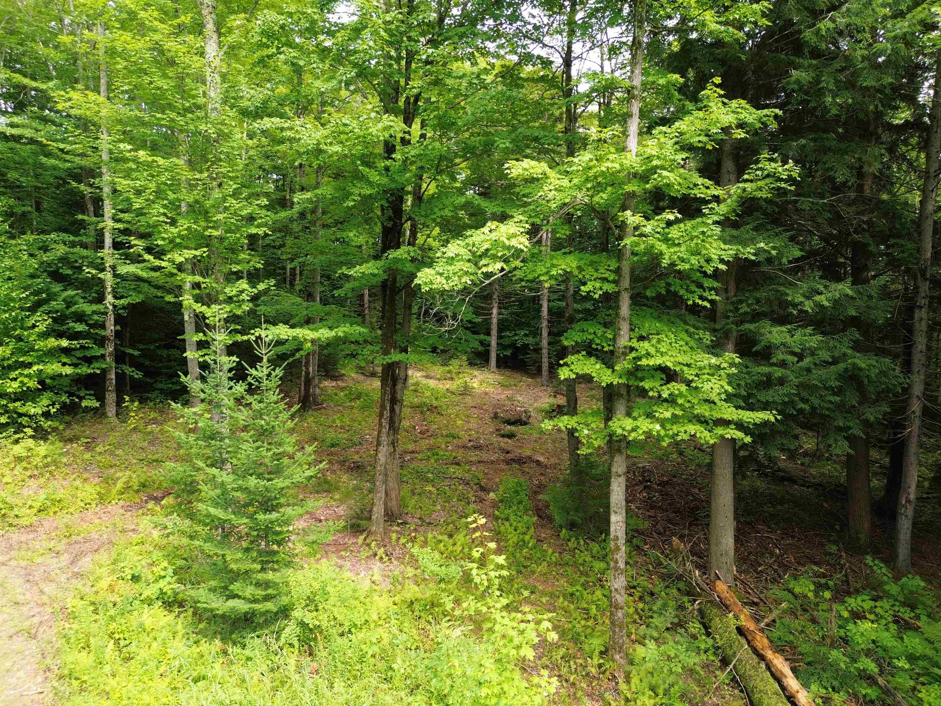 0 Knolls Road, Unit 3 Warren, VT 05674 - Photo 2 of 15 Gallery Image 2