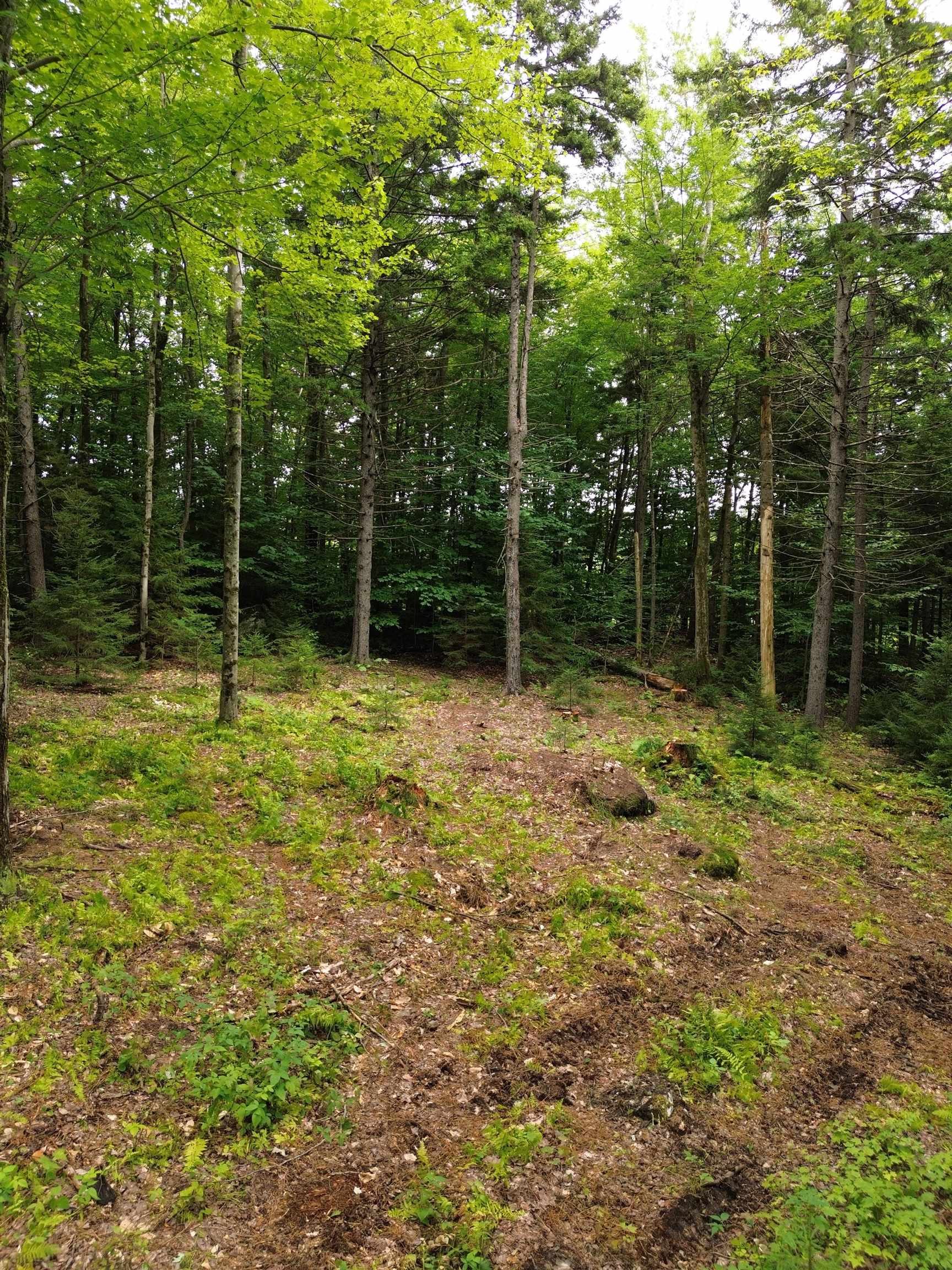 0 Knolls Road, Unit 3 Warren, VT 05674 - Photo 6 of 15 Gallery Image 6
