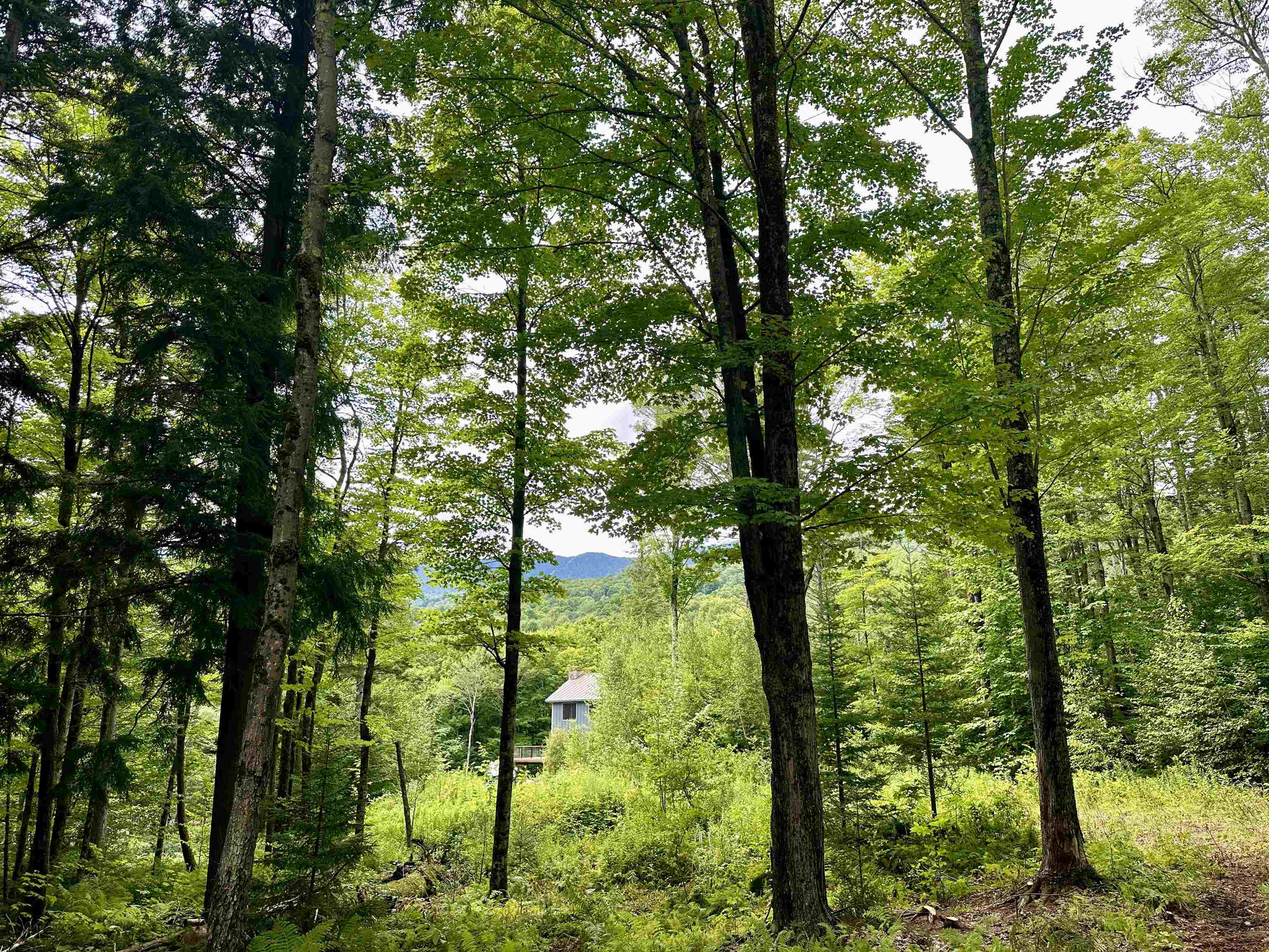 0 Knolls Road, Unit 3 Warren, VT 05674 - Photo 10 of 15 Gallery Image 10