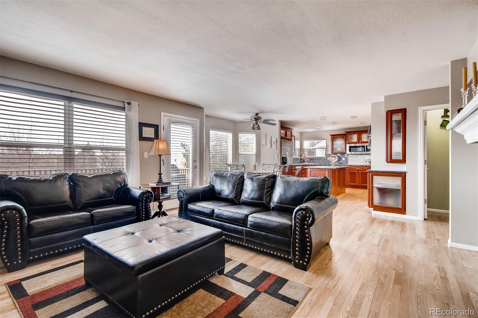 1665 Spring Water Lane Highlands Ranch, CO 80129 - Photo 17 of 34 a living room with furniture and a window